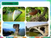 青岛版（五四制）科学一上 2《我的小问号》课件
