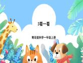青岛版（五四制）科学一上 3《看一看》课件