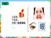 青岛版（五四制）科学一上 3《看一看》课件