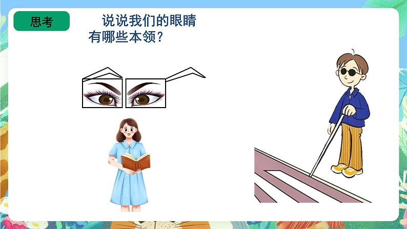 青岛版（五四制）科学一上3《看一看》课件第5页