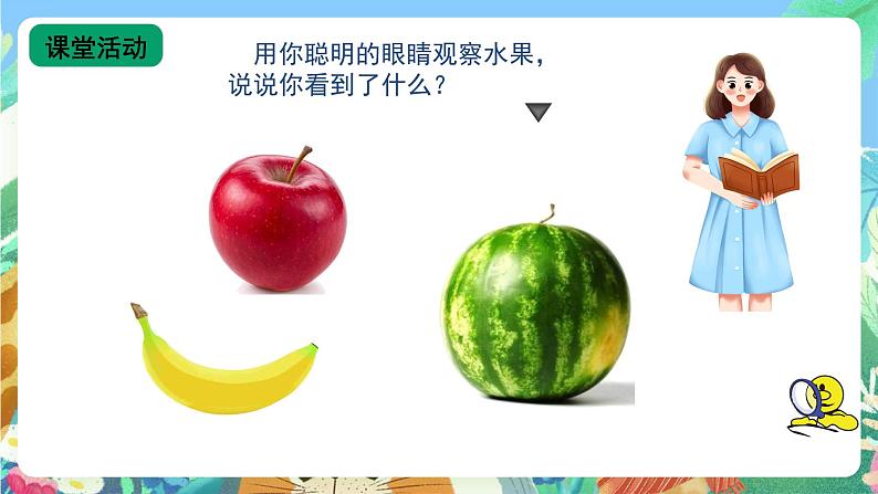 青岛版（五四制）科学一上3《看一看》课件第8页