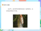 【核心素养】冀教版小学科学三年级上册     15.分离盐和沙    课件ppt+ 教案