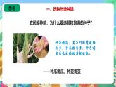 苏教版六上科学2.5《生物的遗传》PPT课件