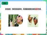 苏教版六上科学2.5《生物的遗传》PPT课件