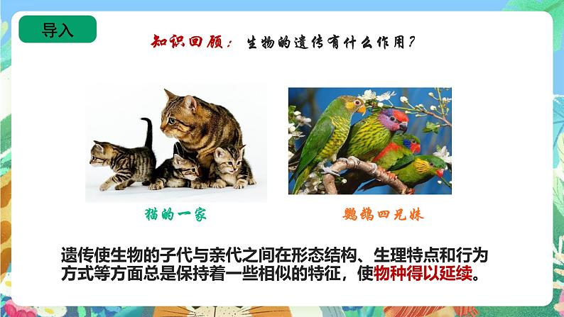 苏教版六上科学2.6《生物的变异》PPT课件第2页