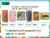 苏教版六上科学3.9《化石告诉我们什么》PPT课件