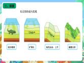 苏教版六上科学3.9《化石告诉我们什么》PPT课件