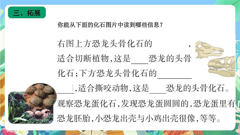 苏教版六上科学3.9《化石告诉我们什么》PPT课件第4页