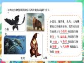 苏教版六上科学3.9《化石告诉我们什么》PPT课件