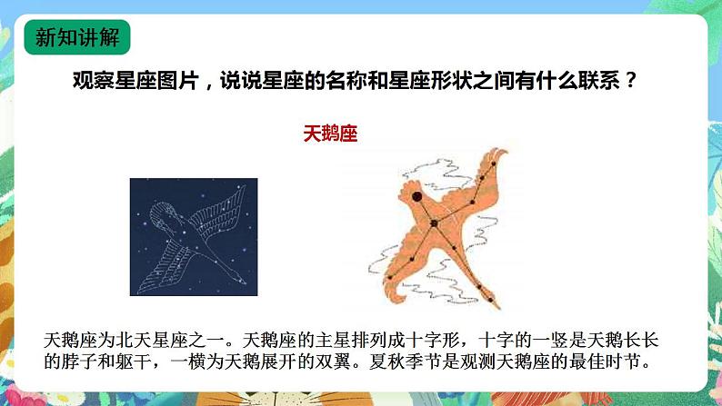 苏教版六上科学4.12《观察星空》课件第8页