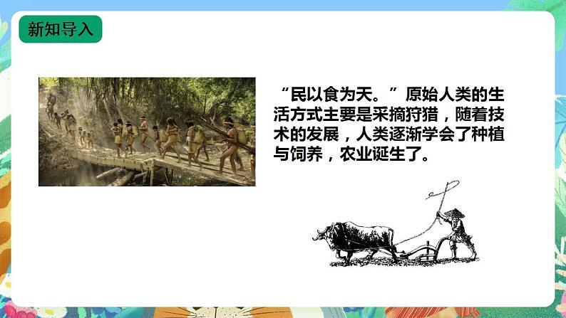 苏教版六上科学5.16《人造肥料与现代农业》PPT课件+视频素材02