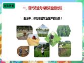 苏教版六上科学5.16《人造肥料与现代农业》PPT课件+视频素材