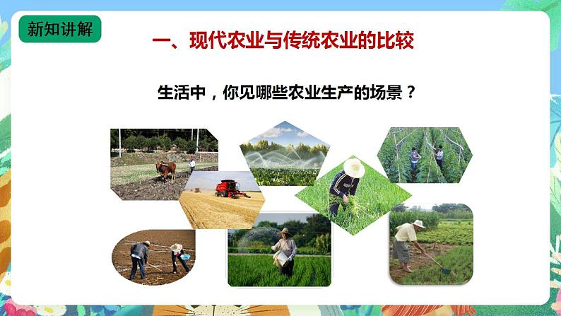 苏教版六上科学5.16《人造肥料与现代农业》PPT课件+视频素材04