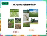 苏教版六上科学5.16《人造肥料与现代农业》PPT课件+视频素材