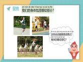 小學(xué)科學(xué)新教科版一年級(jí)上冊(cè)第二單元第1課《我們的身體》教學(xué)課件3（2024秋）
