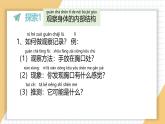 小學(xué)科學(xué)新教科版一年級(jí)上冊(cè)第二單元第1課《我們的身體》教學(xué)課件3（2024秋）
