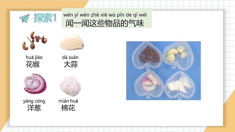 小学科学新教科版一年级上册第二单元第4课《气味告诉我们》教学课件3（2024秋）03