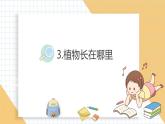 小学科学新教科版一年级上册第一单元第3课《植物长在哪里》教学课件3（2024秋）