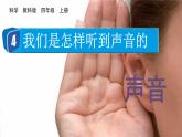 教科2024版科学4年级上册 第1章4 我们是怎样听到声音的 PPT课件
