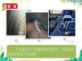 教科2024版科学4年级上册 第1章4 我们是怎样听到声音的 PPT课件