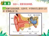 教科2024版科学4年级上册 第1章4 我们是怎样听到声音的 PPT课件