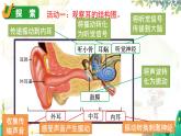 教科2024版科学4年级上册 第1章4 我们是怎样听到声音的 PPT课件