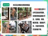 【核心素养】苏教版（2017）科学六年级上册1.2《铁钉生锈》 课件+素材