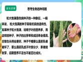 【核心素养】苏教版（2017）科学六年级上册2.5《生物的遗传》 课件+素材