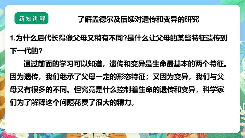 【核心素养】苏教版（2017）科学六年级上册2.7《寻找遗传与变异的秘密》 课件+素材03