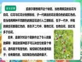 【核心素养】苏教版（2017）科学六年级上册2.7《寻找遗传与变异的秘密》 课件+素材