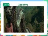 【核心素養(yǎng)】蘇教版（2017）科學六年級上冊3.10《用化石作證據(jù)》課件+素材