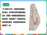 【核心素養(yǎng)】蘇教版（2017）科學六年級上冊3.10《用化石作證據(jù)》課件+素材