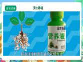 【核心素养】苏教版（2017）科学六年级上册5.16《人造肥料与现代农业》课件+素材