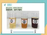 (2024新課標(biāo))教科版科學(xué)一年級(jí)上冊(cè)2.6《觀察與比較》教學(xué)設(shè)計(jì)+上課課件+視頻資料