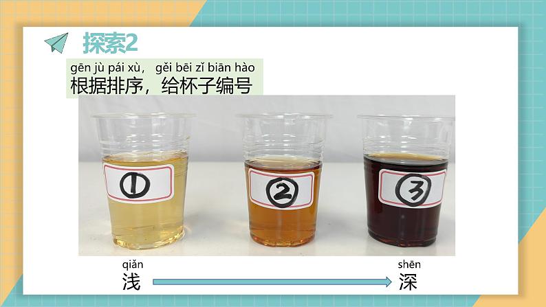 (2024新课标)教科版科学一年级上册2.6《观察与比较》教学设计+上课课件+视频资料05