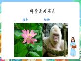 教科版科学五年级上册开学第一课《科学家这样做-伽利略》课件+素材