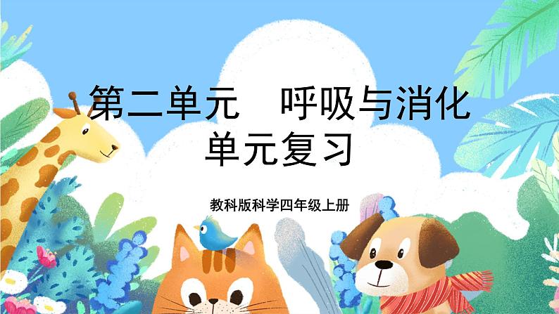 教科版科学四年级上册第二单元《呼吸与消化》课件+知识点01