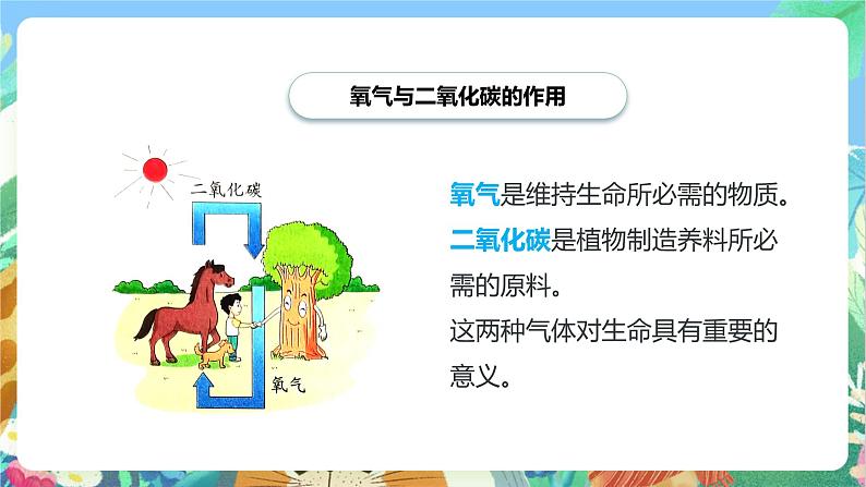 教科版科学四年级上册第二单元《呼吸与消化》课件+知识点05