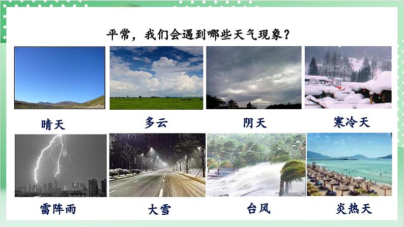 教科版科学三年级上册3.1 《我们关心天气》教学课件+教案+素材04