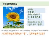 小學(xué)科學(xué)新教科版一年級上冊第一單元第4課《給植物畫張“像”》教學(xué)課件3（2024秋）
