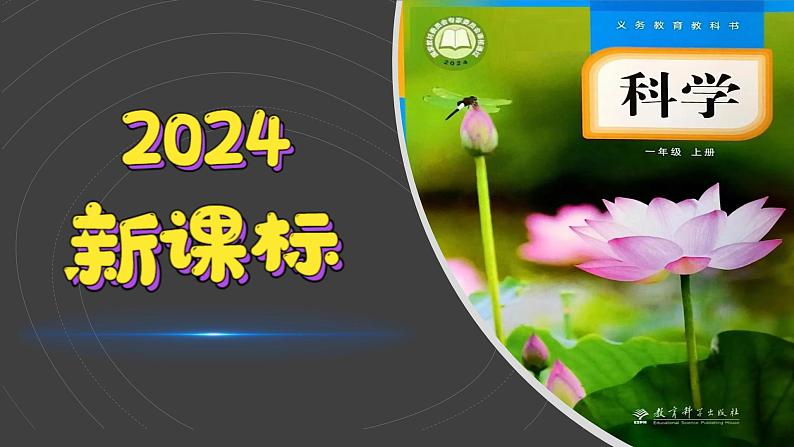 （2024）新教科版科学一年级上册（1-1）我们知道的植物PPT课件+视频+教学设计01