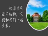 （2024）新教科版科学一年级上册（1-2）观察植物PPT课件+视频+教学设计