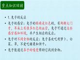 二年级上册科学课件-第二单元动物的反应复习课件-湘科版（一起）