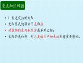 二年级上册科学课件-第三单元太阳和月亮复习课件-湘科版（一起）