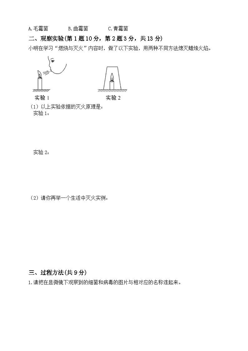 青岛版（五四学制2017）2024年秋小学五年级上册科学期中检测题（含答案）02
