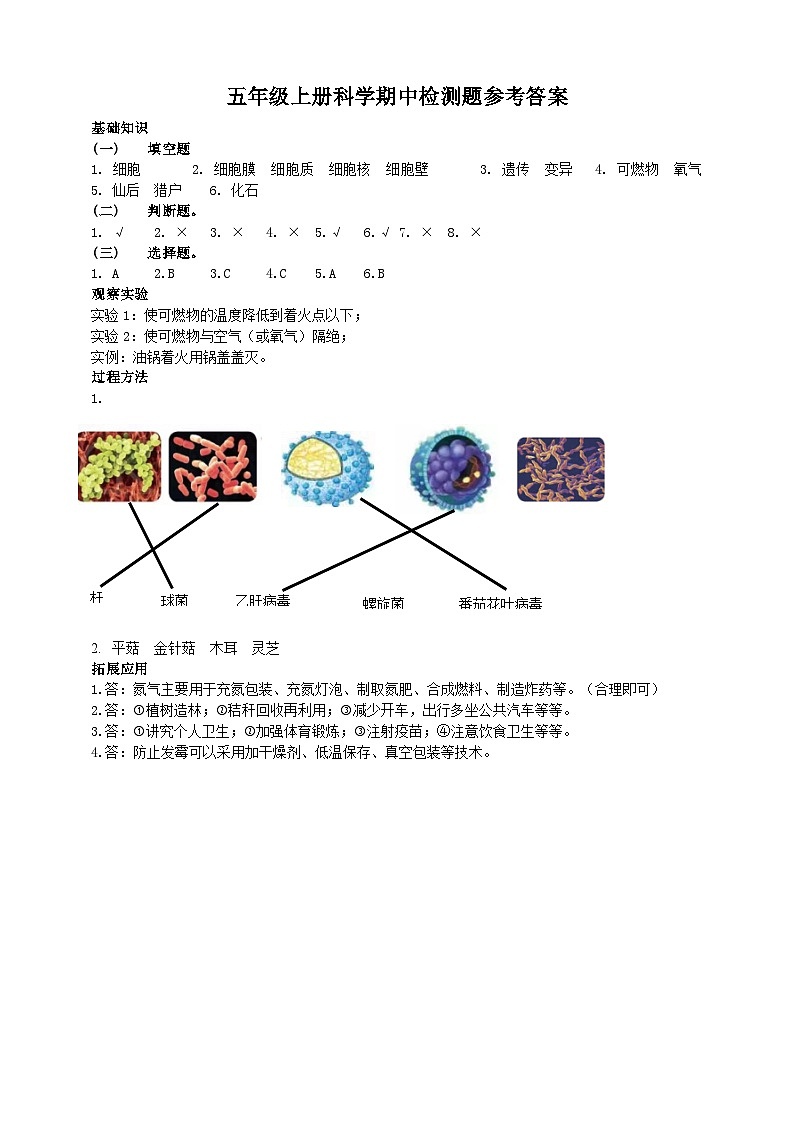 青岛版（五四学制2017）2024年秋小学五年级上册科学期中检测题（含答案）01