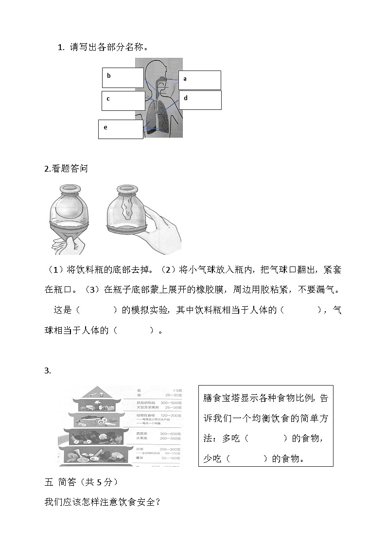 湘教版2024年秋小学科学四年级上册第二单元测试题（含答案）03