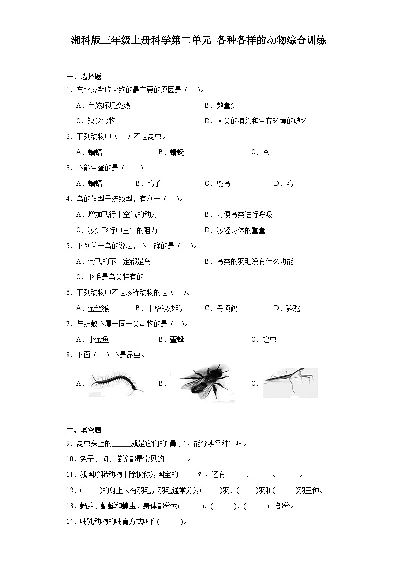 2024年秋湘科版三年级上册 科学第二单元各种各样的动物综合训练（含答案）01