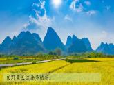 （2024）新教科版科学一年级上册（1-3）植物长在哪里PPT课件+视频+教学设计