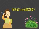 （2024）新教科版科学一年级上册（1-3）植物长在哪里PPT课件+视频+教学设计